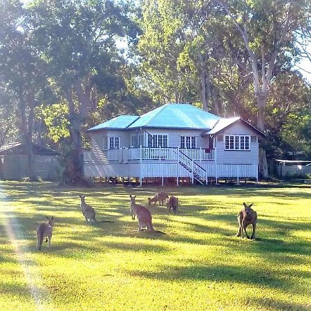 Lake Weyba Noosa Lodge & Kangaroos Peregian Beach Exterior foto