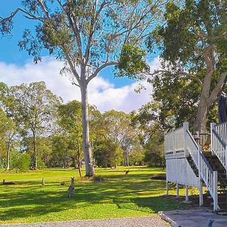 Lake Weyba Noosa Lodge & Kangaroos Peregian Beach Exterior foto