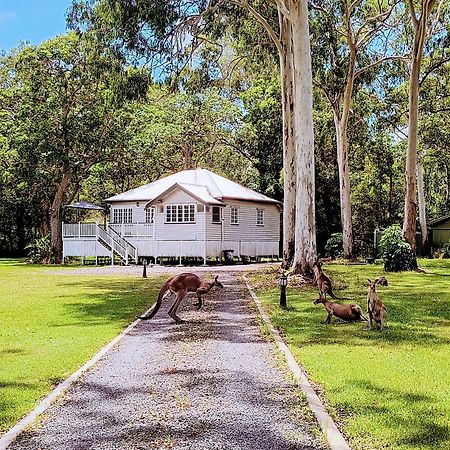 Lake Weyba Noosa Lodge & Kangaroos Peregian Beach Exterior foto