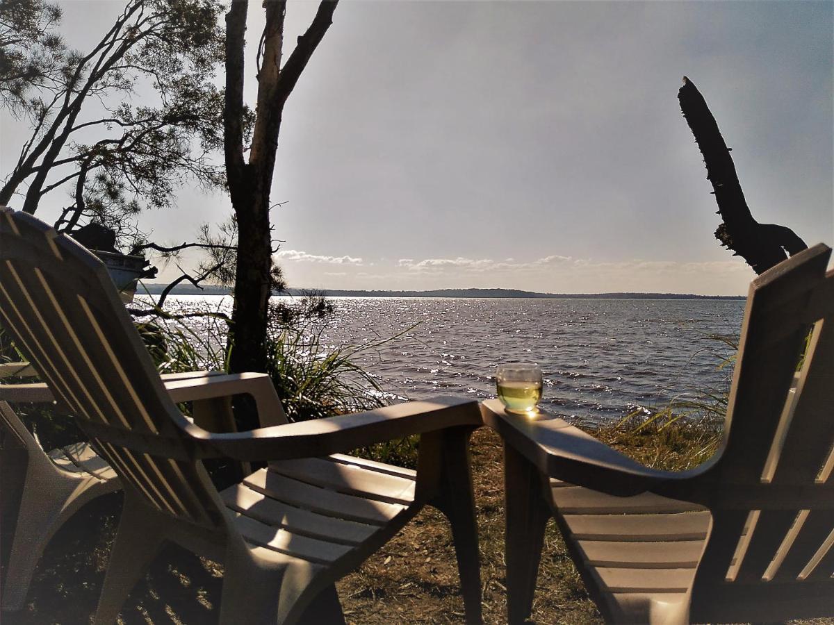 Lake Weyba Noosa Lodge & Kangaroos Peregian Beach Exterior foto