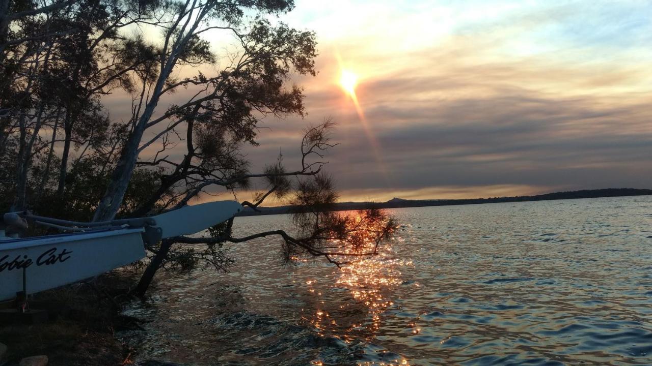 Lake Weyba Noosa Lodge & Kangaroos Peregian Beach Exterior foto