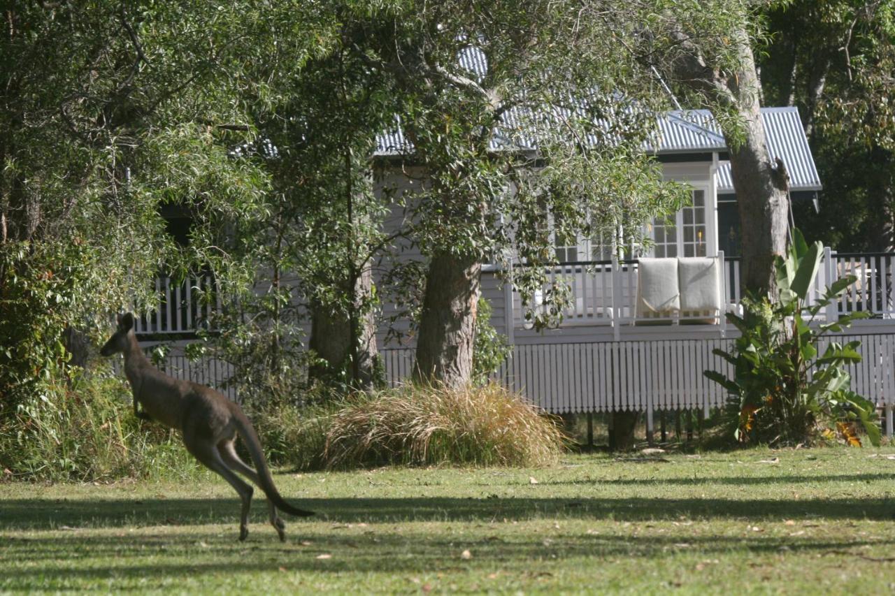 Lake Weyba Noosa Lodge & Kangaroos Peregian Beach Exterior foto