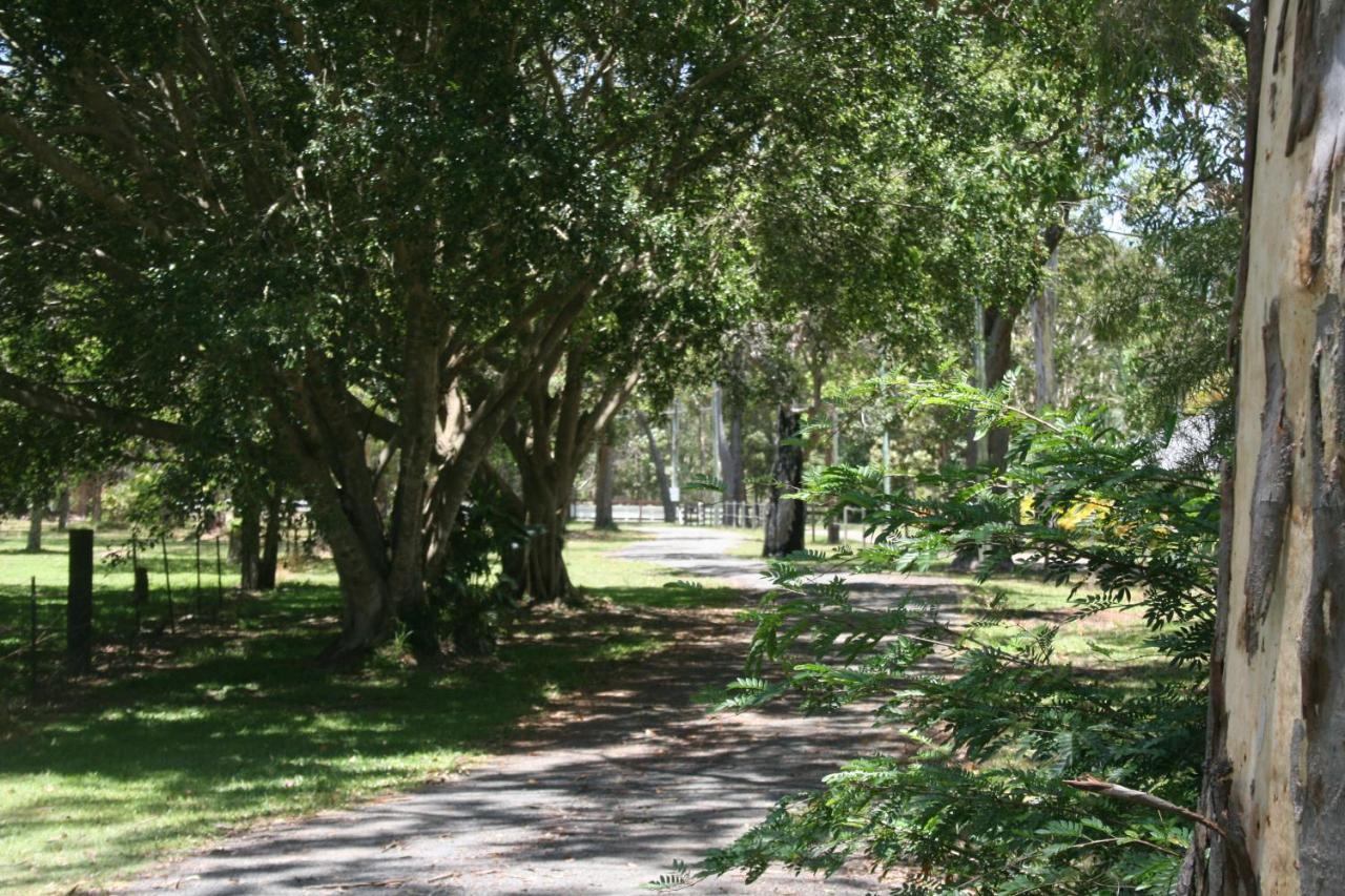 Lake Weyba Noosa Lodge & Kangaroos Peregian Beach Exterior foto