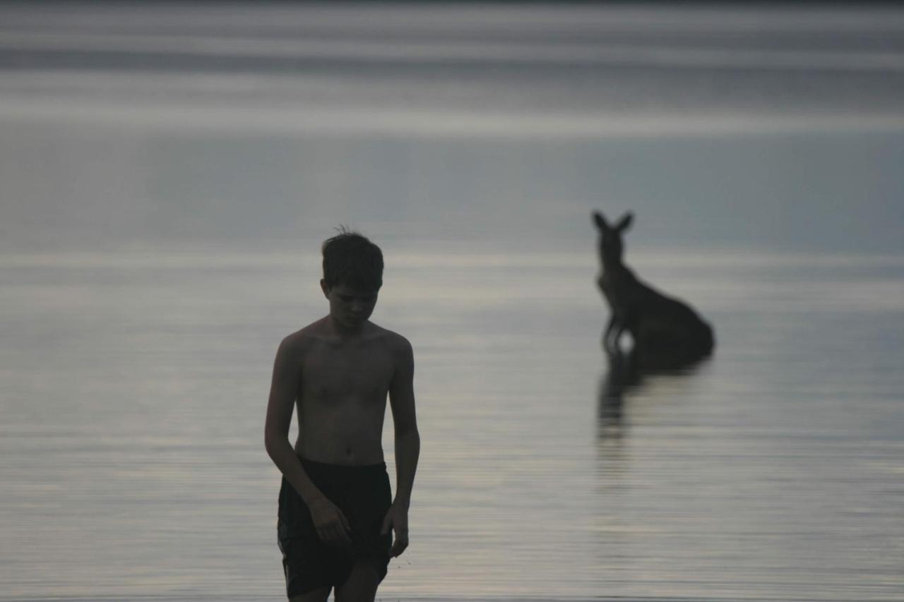 Lake Weyba Noosa Lodge & Kangaroos Peregian Beach Exterior foto