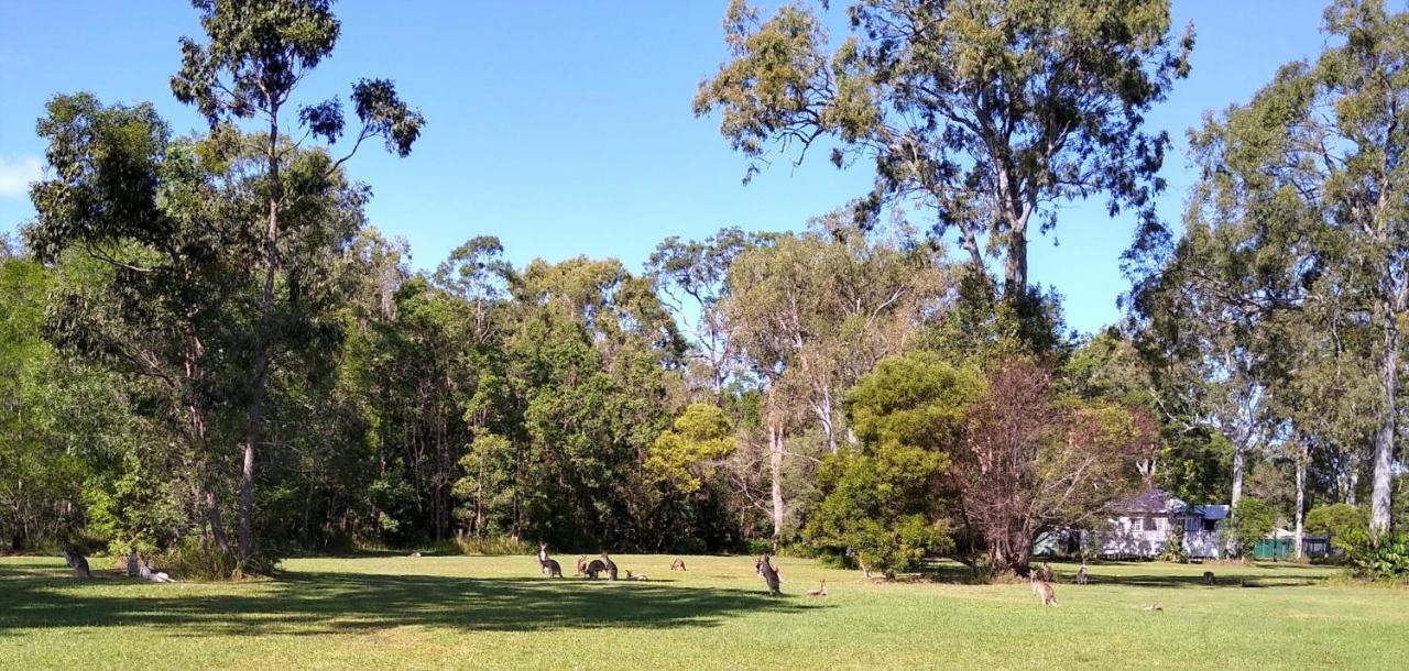Lake Weyba Noosa Lodge & Kangaroos Peregian Beach Exterior foto