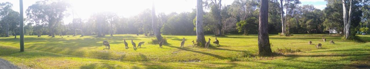 Lake Weyba Noosa Lodge & Kangaroos Peregian Beach Exterior foto