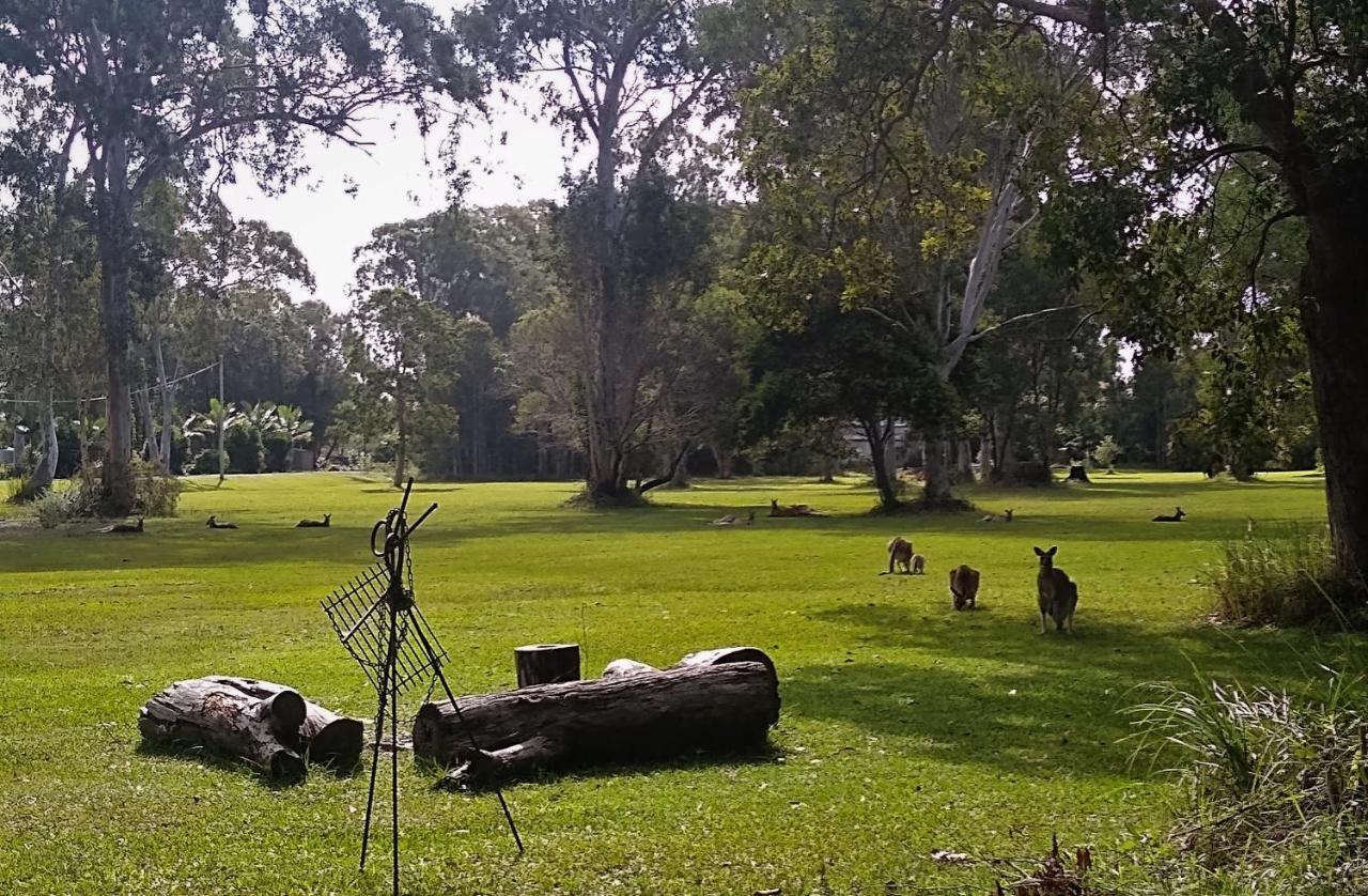 Lake Weyba Noosa Lodge & Kangaroos Peregian Beach Exterior foto
