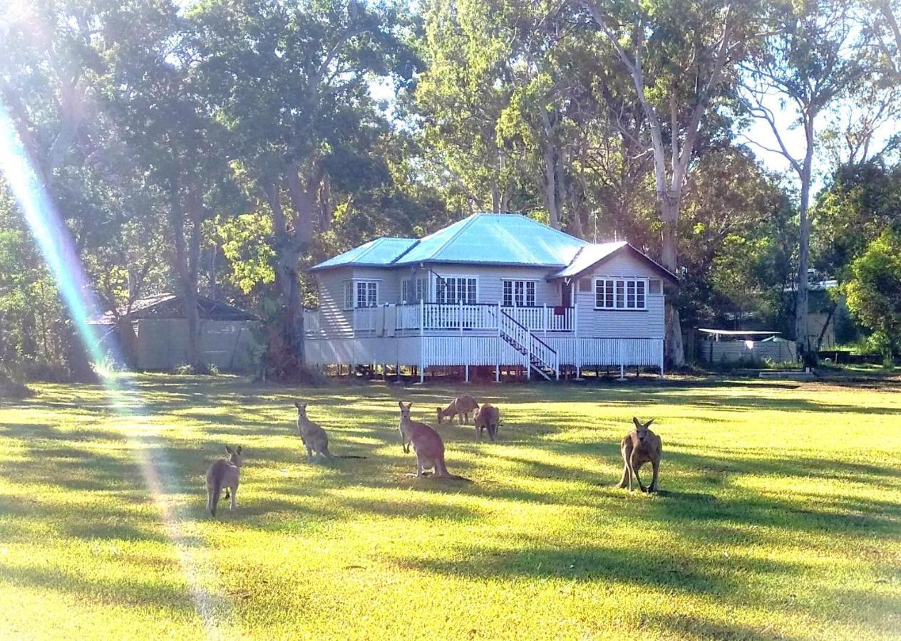 Lake Weyba Noosa Lodge & Kangaroos Peregian Beach Exterior foto
