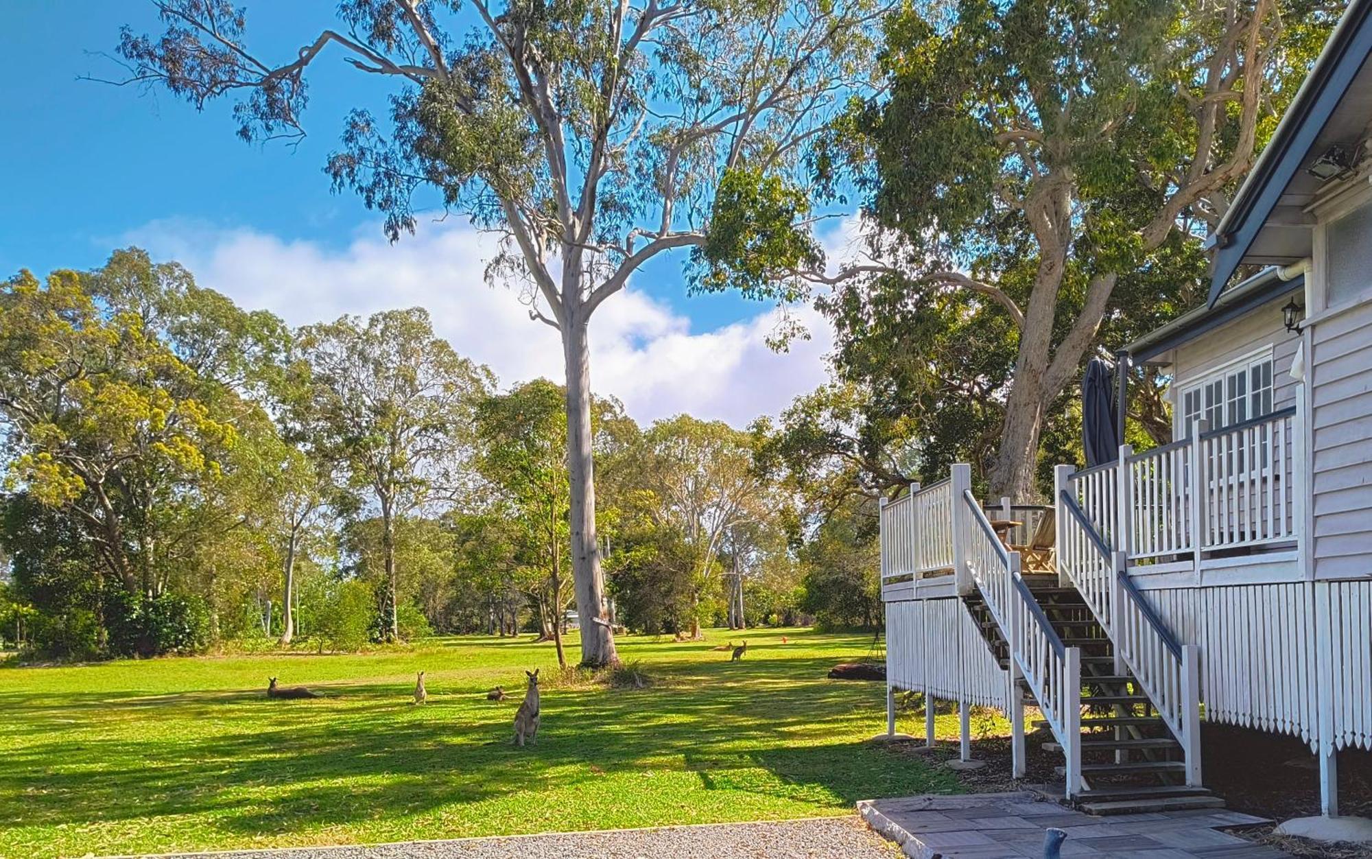 Lake Weyba Noosa Lodge & Kangaroos Peregian Beach Exterior foto