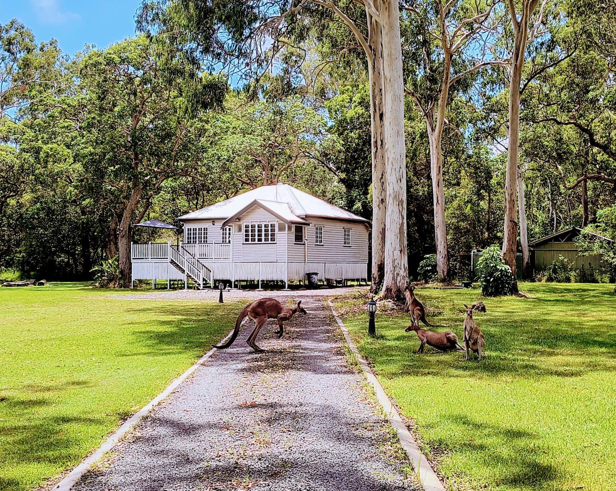 Lake Weyba Noosa Lodge & Kangaroos Peregian Beach Exterior foto